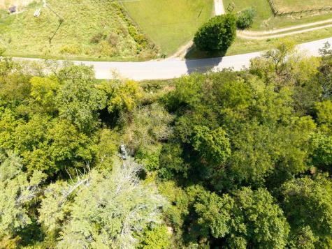 Sr 1305 Qualla Road Hayesville NC 28904
