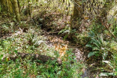Sr 1305 Qualla Road Hayesville NC 28904