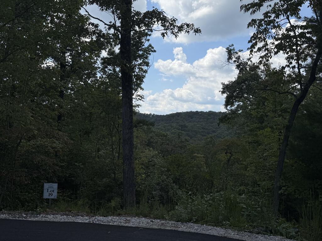 Lot 19 Turquoise Ridge Blue Ridge GA 30513