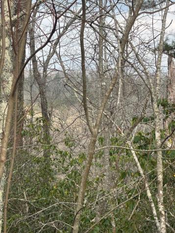 Lot 19 Turquoise Ridge Blue Ridge GA 30513
