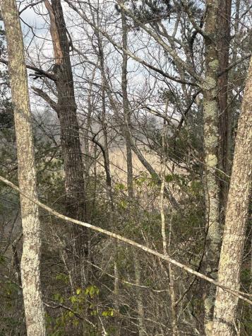 Lot 19 Turquoise Ridge Blue Ridge GA 30513