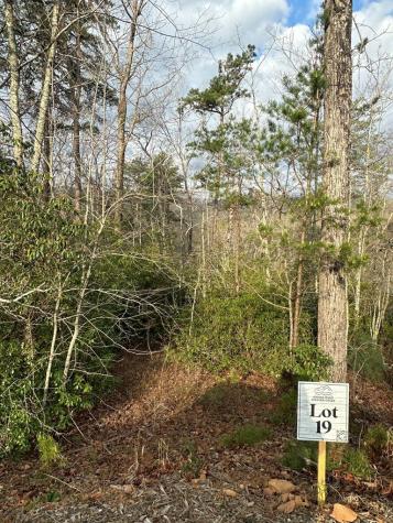 Lot 19 Turquoise Ridge Blue Ridge GA 30513