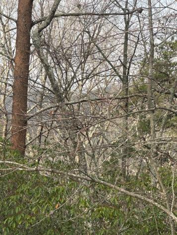 Lot 19 Turquoise Ridge Blue Ridge GA 30513