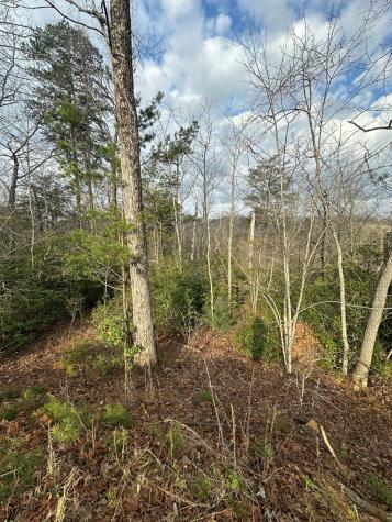 Lot 19 Turquoise Ridge Blue Ridge GA 30513