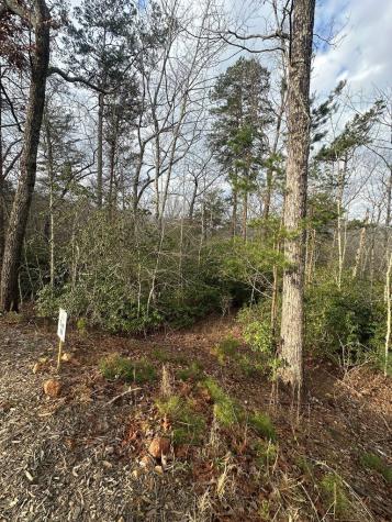 Lot 19 Turquoise Ridge Blue Ridge GA 30513