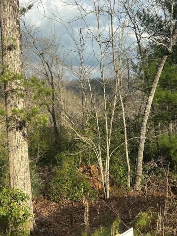Lot 19 Turquoise Ridge Blue Ridge GA 30513
