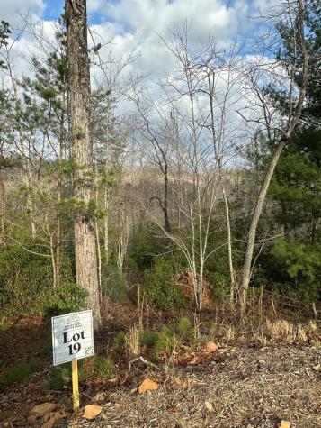 Lot 19 Turquoise Ridge Blue Ridge GA 30513