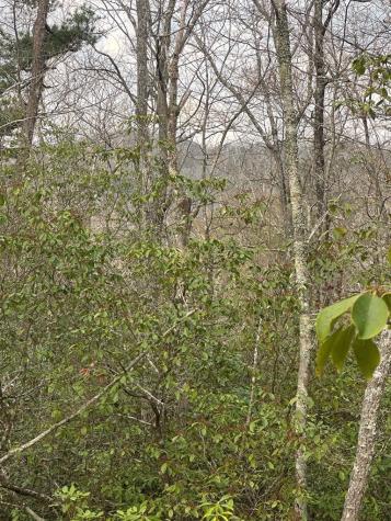 Lot 19 Turquoise Ridge Blue Ridge GA 30513