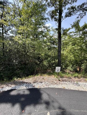 Lot 19 Turquoise Ridge Blue Ridge GA 30513