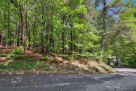 Lot 73 Pinecrest Young Harris GA 30582