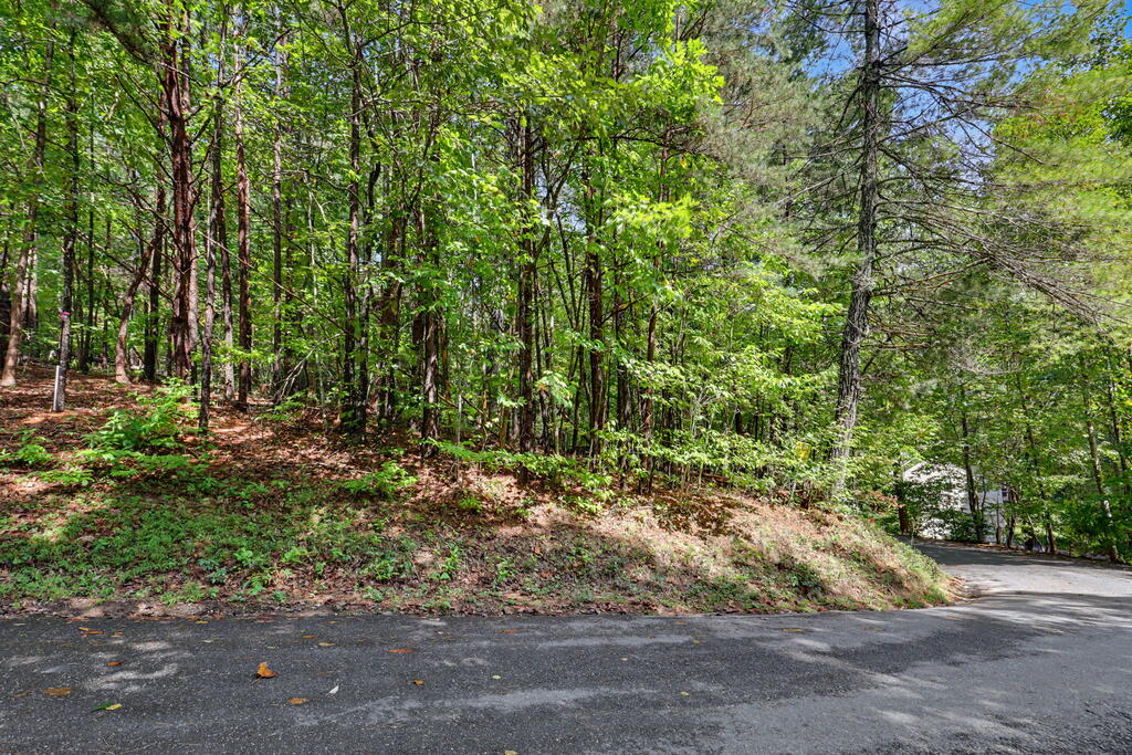Lot 73 Pinecrest Young Harris GA 30582