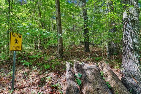 Lot 73 Pinecrest Young Harris GA 30582