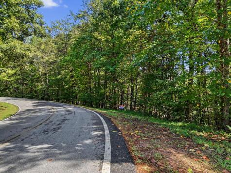 Lot 73 Pinecrest Young Harris GA 30582