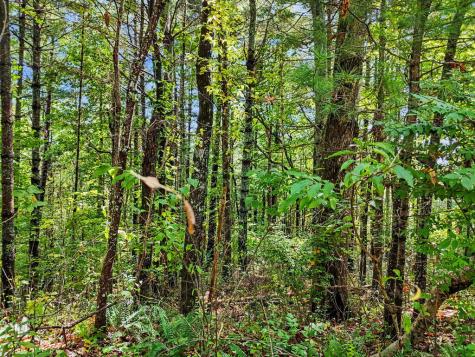Lot 73 Pinecrest Young Harris GA 30582