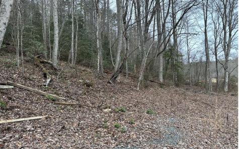 7020 Martins Creek Road Murphy NC 28906
