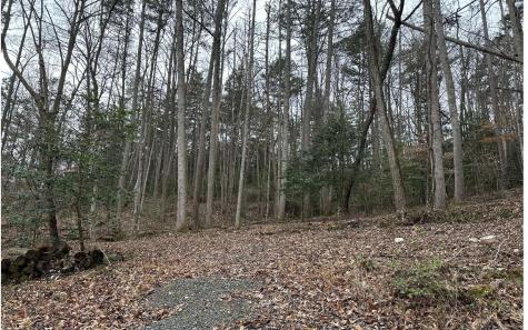 7020 Martins Creek Road Murphy NC 28906