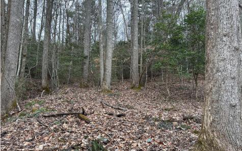 7020 Martins Creek Road Murphy NC 28906