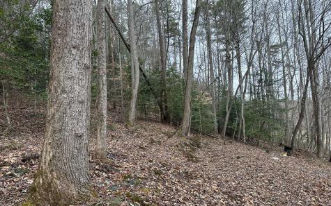 7020 Martins Creek Road Murphy NC 28906