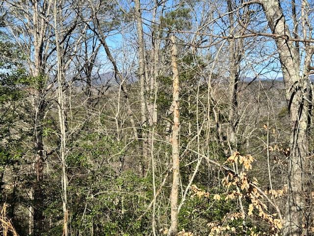 Lot 1198 Lancer Court Ellijay GA 30540