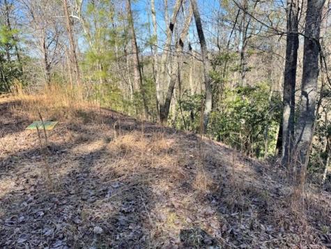 Lot 1198 Lancer Court Ellijay GA 30540