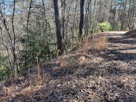 Lot 1198 Lancer Court Ellijay GA 30540
