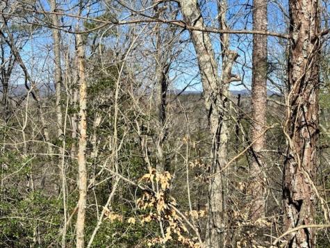 Lot 1198 Lancer Court Ellijay GA 30540