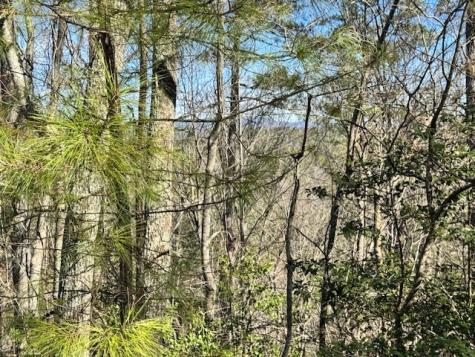 Lot 1198 Lancer Court Ellijay GA 30540