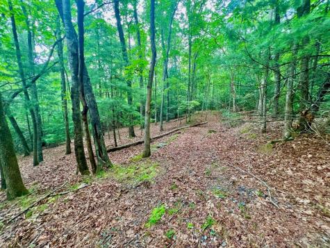 193 Opossum Road Blairsville GA 30512