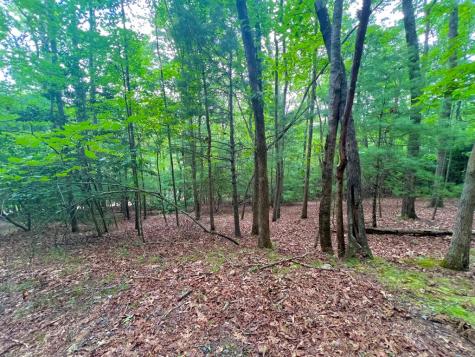193 Opossum Road Blairsville GA 30512