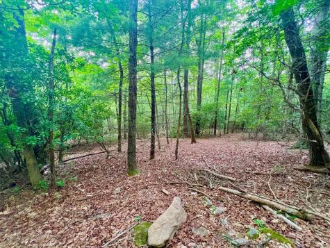 193 Opossum Road Blairsville GA 30512