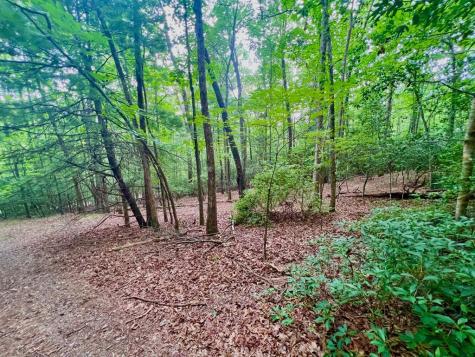 193 Opossum Road Blairsville GA 30512