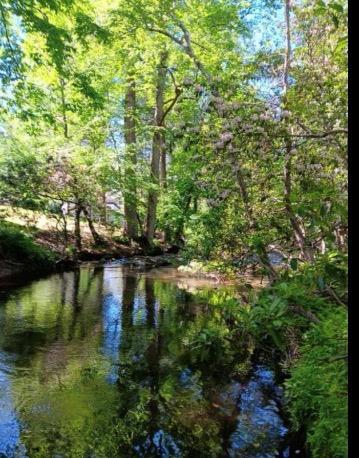193 Opossum Road Blairsville GA 30512