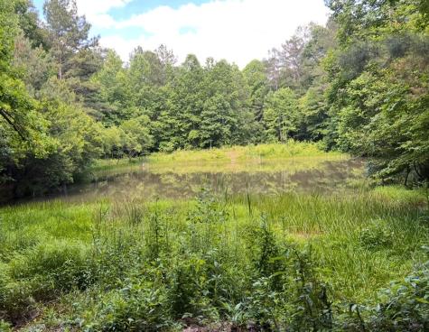 19 Lots Wildwood Ellijay GA 30540