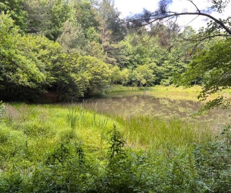 19 Lots Wildwood Ellijay GA 30540