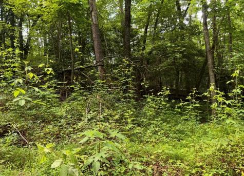 19 Lots Wildwood Ellijay GA 30540