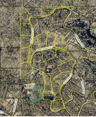 19 Lots Wildwood Ellijay GA 30540