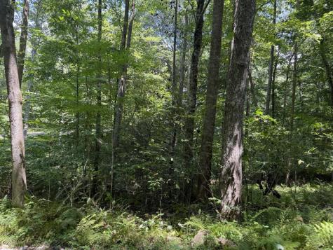 Lot 5 Blair Creek Ridge Hayesville NC 28904