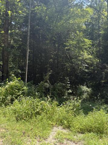 Lot 5 Blair Creek Ridge Hayesville NC 28904