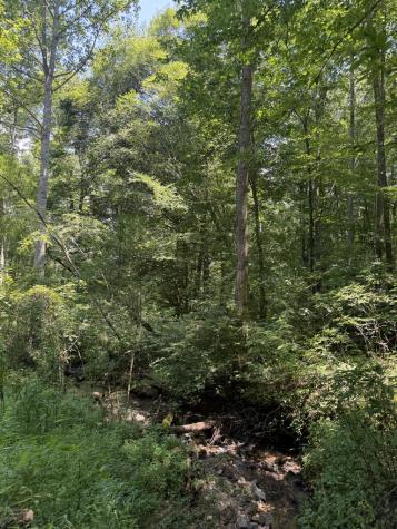 Lot 5 Blair Creek Ridge Hayesville NC 28904