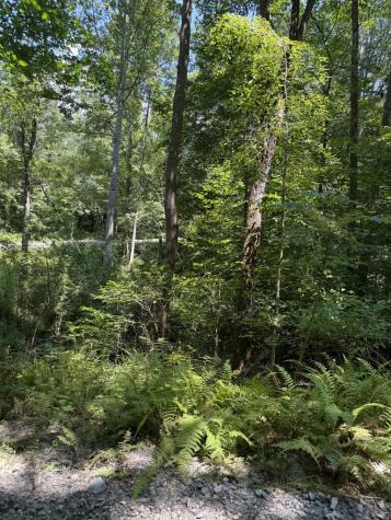 Lot 5 Blair Creek Ridge Hayesville NC 28904