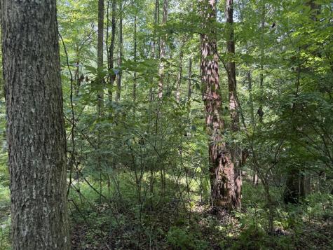 Lot 5 Blair Creek Ridge Hayesville NC 28904