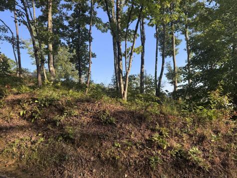 7 Mountain Breezes Drive Hayesville NC 28904