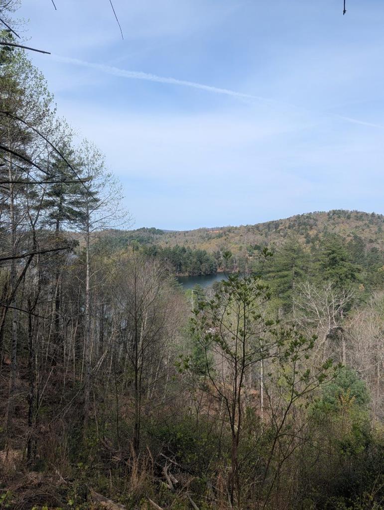 Lt 7a Lake Appalachia Ac Drive Murphy NC 28906