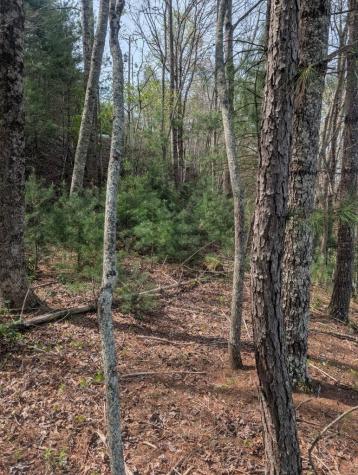 Lt 7A Lake Appalachia Ac Drive Murphy NC 28906