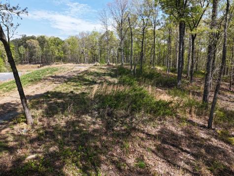 Lot 20 Blalock Mountain Road Ellijay GA 30540