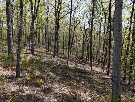 Lot 20 Blalock Mountain Road Ellijay GA 30540