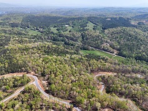 Lot 20 Blalock Mountain Road Ellijay GA 30540