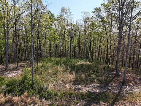 Lot 20 Blalock Mountain Road Ellijay GA 30540