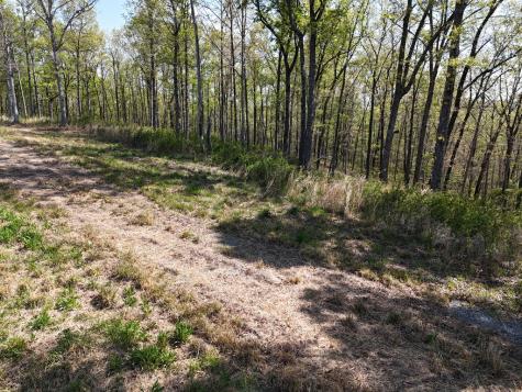 Lot 20 Blalock Mountain Road Ellijay GA 30540