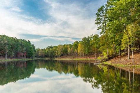 Lot 177 Canoe Point East Ellijay GA 30540